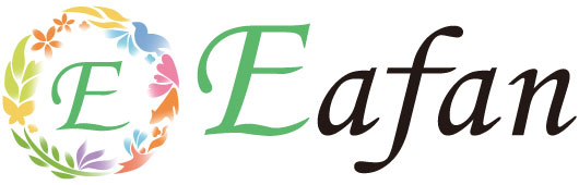 株式会社Eアファン