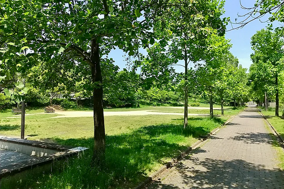 六甲アイランド公園